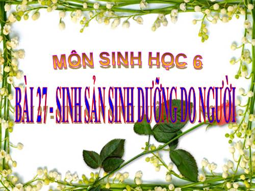 Bài 27. Sinh sản sinh dưỡng do người