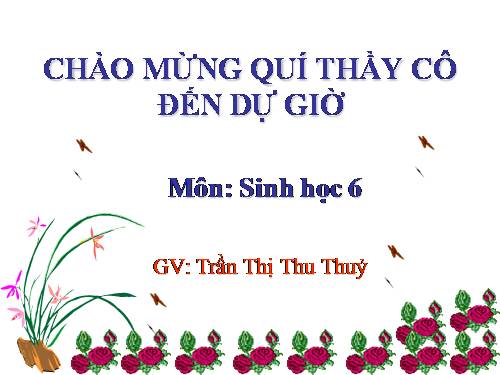 Bài 23. Cây có hô hấp không?