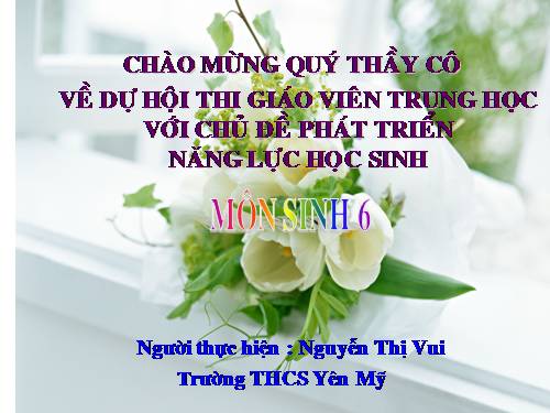 Bài 9. Các loại rễ, các miền của rễ