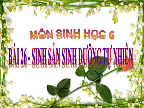 Bài 26. Sinh sản sinh dưỡng tự nhiên