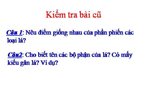 Bài 19. Đặc điểm bên ngoài của lá