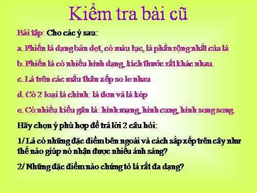 Bài 20. Cấu tạo trong của phiến lá