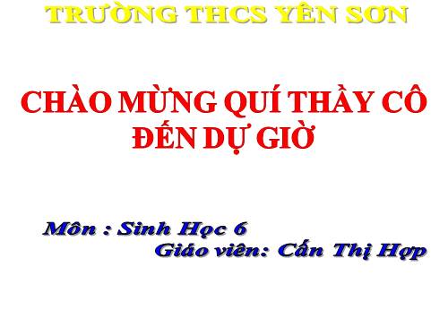 Bài 21. Quang hợp