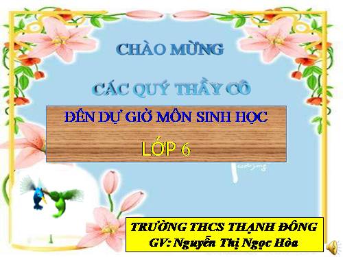 Bài 26. Sinh sản sinh dưỡng tự nhiên