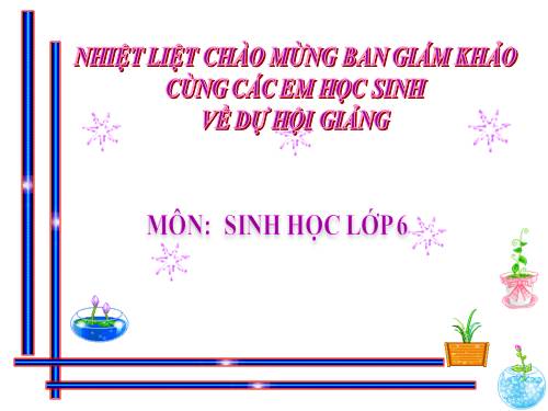 Bài 22. Ảnh hưởng của các điều kiện bên ngoài đến quang hợp, ý nghĩa của quang hợp