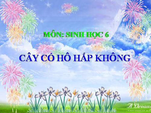 Bài 23. Cây có hô hấp không?