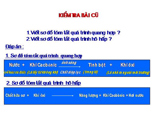 Bài 24. Phần lớn nước vào cây đi đâu?