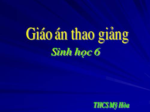 Bài 24. Phần lớn nước vào cây đi đâu?