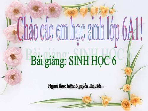 Bài 21. Quang hợp