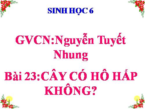 Bài 23. Cây có hô hấp không?