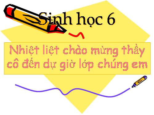 Bài 12. Biến dạng của rễ