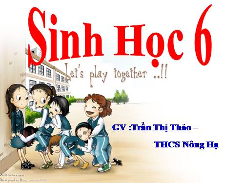 Bài 22. Ảnh hưởng của các điều kiện bên ngoài đến quang hợp, ý nghĩa của quang hợp