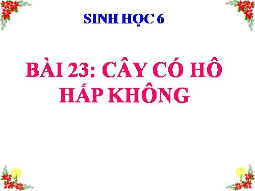 Bài 23. Cây có hô hấp không?