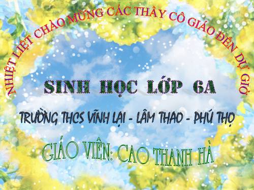 Bài 21. Quang hợp