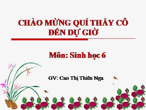 Bài 23. Cây có hô hấp không?