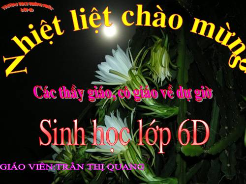 Bài 18. Biến dạng của thân