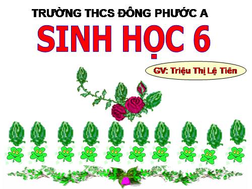 Bài 18. Biến dạng của thân