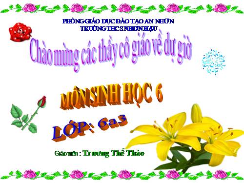 Bài 19. Đặc điểm bên ngoài của lá