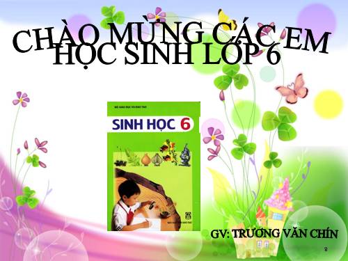 Bài 13. Cấu tạo ngoài của thân