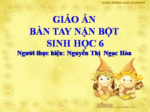 Bài 40. Hạt trần - Cây thông