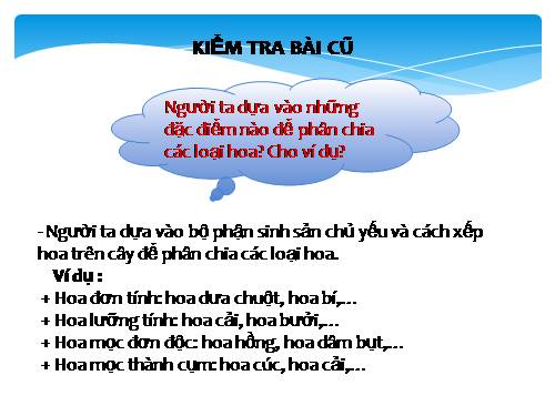 Bài 30. Thụ phấn