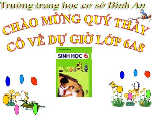 Bài 13. Cấu tạo ngoài của thân