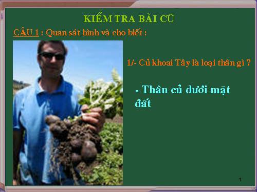 Bài 19. Đặc điểm bên ngoài của lá