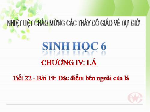 Bài 19. Đặc điểm bên ngoài của lá