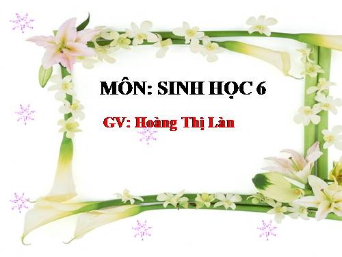 Bài 19. Đặc điểm bên ngoài của lá