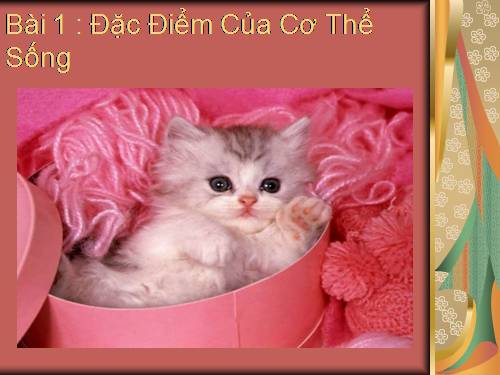 Bài 1 : Đặc Điểm Của Cơ Thể Sống