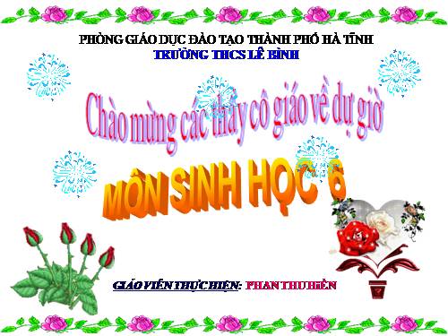 Bài 9. Các loại rễ, các miền của rễ