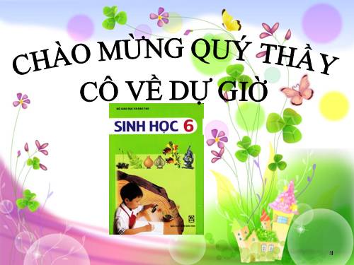 Bài 13. Cấu tạo ngoài của thân