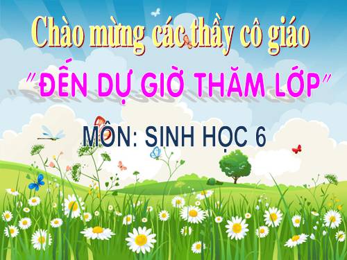 Bài 22. Ảnh hưởng của các điều kiện bên ngoài đến quang hợp, ý nghĩa của quang hợp