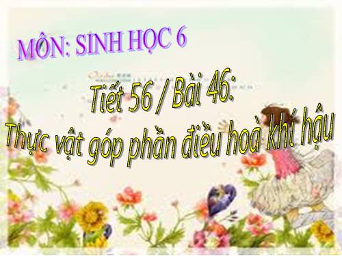 Bài 46. Thực vật góp phần điều hoà khí hậu