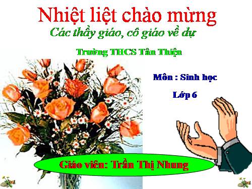 Bài 19. Đặc điểm bên ngoài của lá