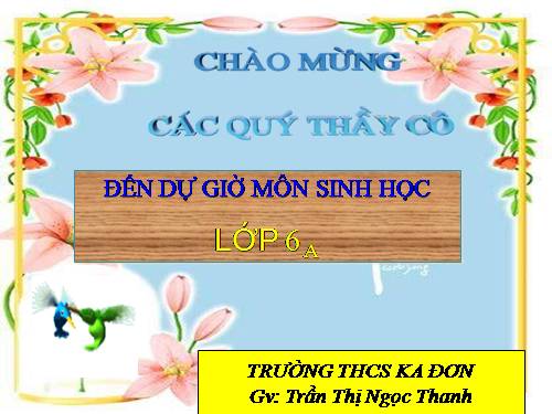 Bài 18. Biến dạng của thân