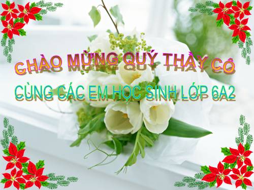 Bài 9. Các loại rễ, các miền của rễ