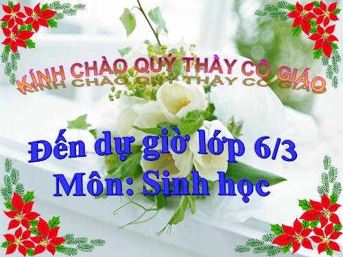 Bài 8. Sự lớn lên và phân chia của tế bào