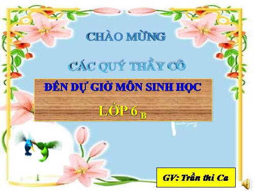 Bài 12. Biến dạng của rễ