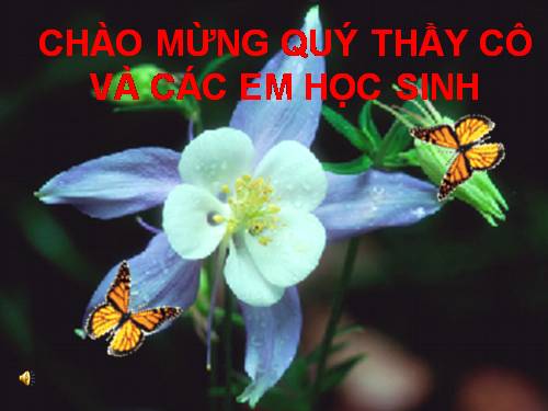 Bài 15. Cấu tạo trong của thân non