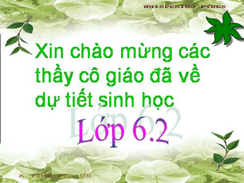 Bài 17. Vận chuyển các chất trong thân