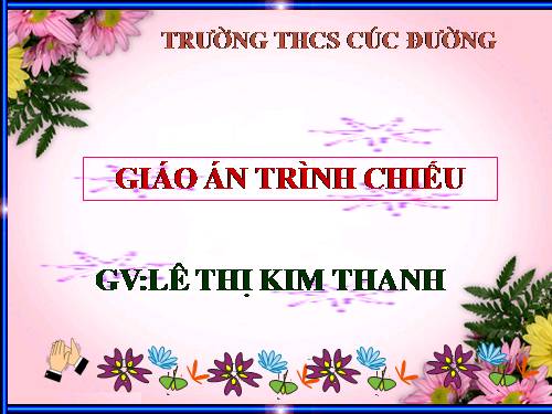 Bài 13. Cấu tạo ngoài của thân