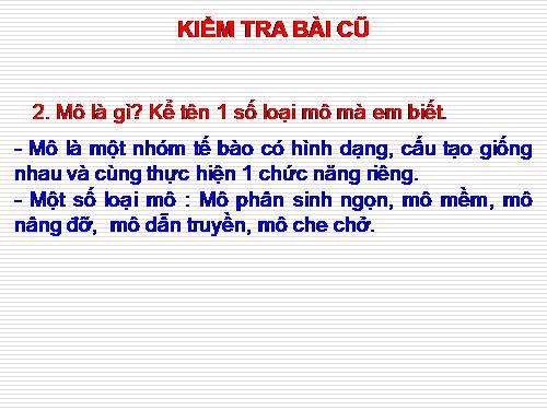 Bài 8. Sự lớn lên và phân chia của tế bào