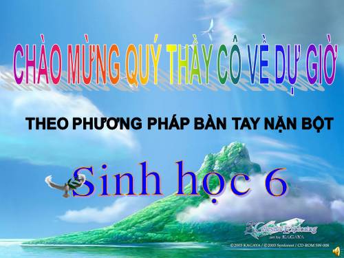 Bài 40. Hạt trần - Cây thông