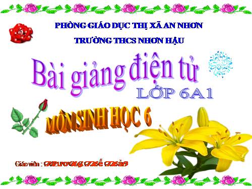 Bài 4. Có phải tất cả thực vật đều có hoa?