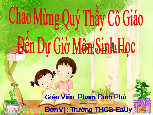 Bài 47. Thực vật bảo vệ đất và nguồn nước