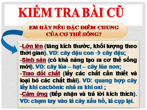 Bài 2. Nhiệm vụ của Sinh học. Đại cương về giới Thực vật