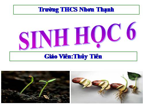 Bài 19. Đặc điểm bên ngoài của lá