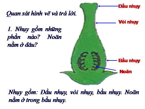 Bài 31. Thụ tinh, kết quả và tạo hạt