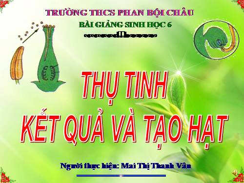 Bài 31. Thụ tinh, kết quả và tạo hạt